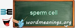 WordMeaning blackboard for sperm cell